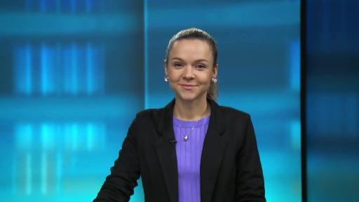 punkt6