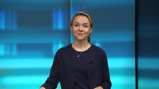 punkt6