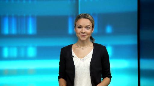 punkt6