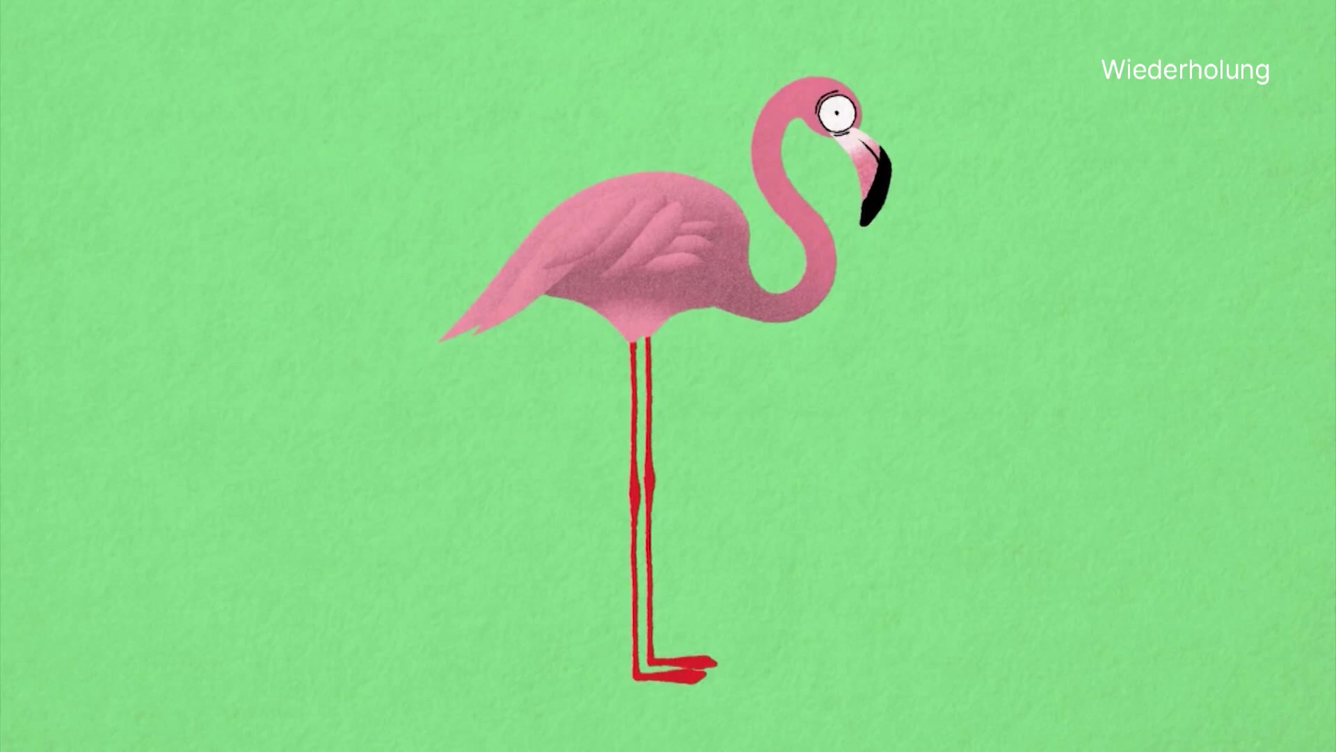 Der Flamingo