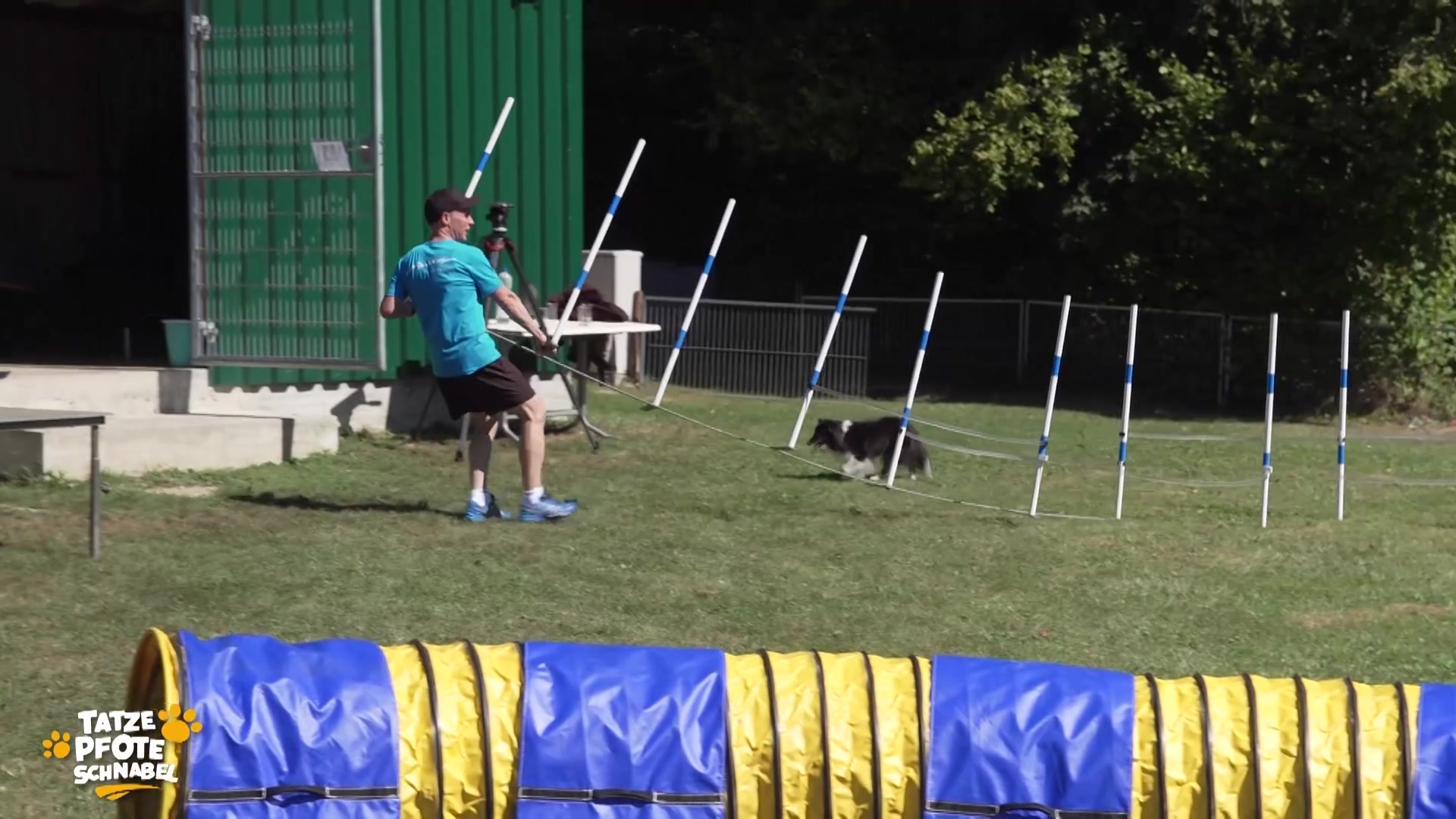 Hundesport Agility: Ein Team in Aktion