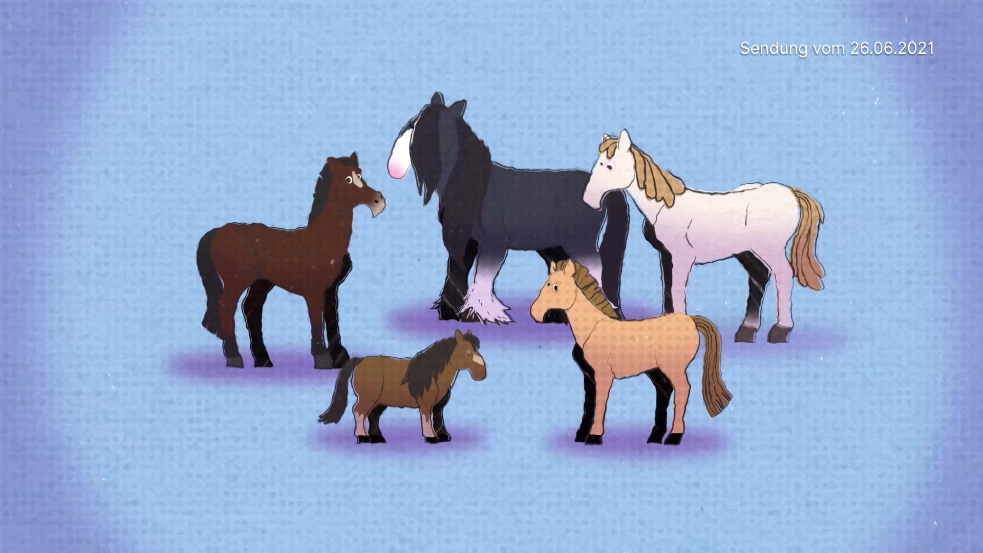 Das Pferd und das Pony