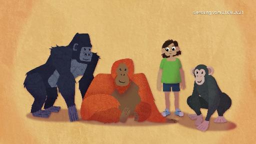 Zoo Kidz
