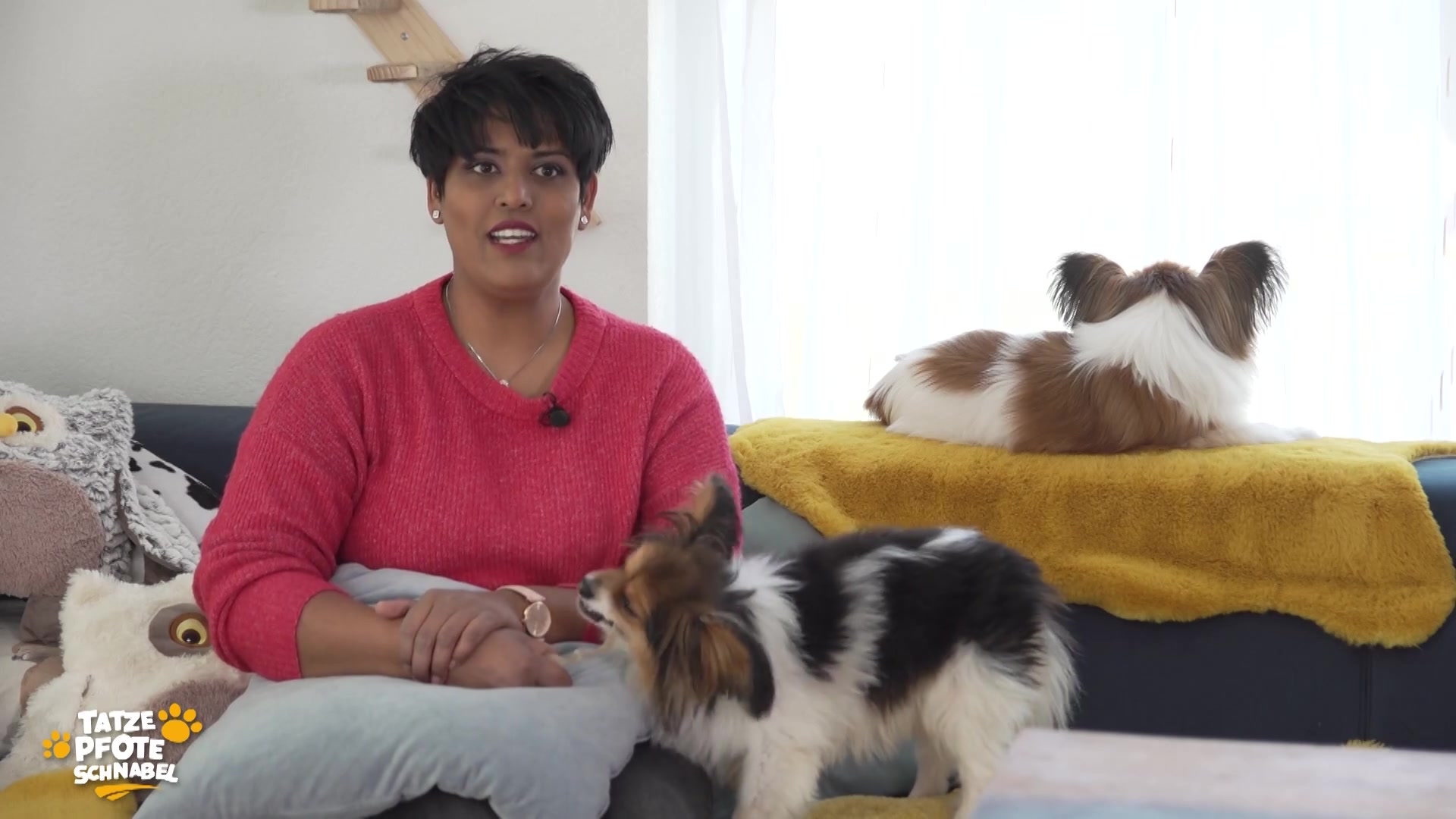 Sarah-Jane und ihre tierischen Stars