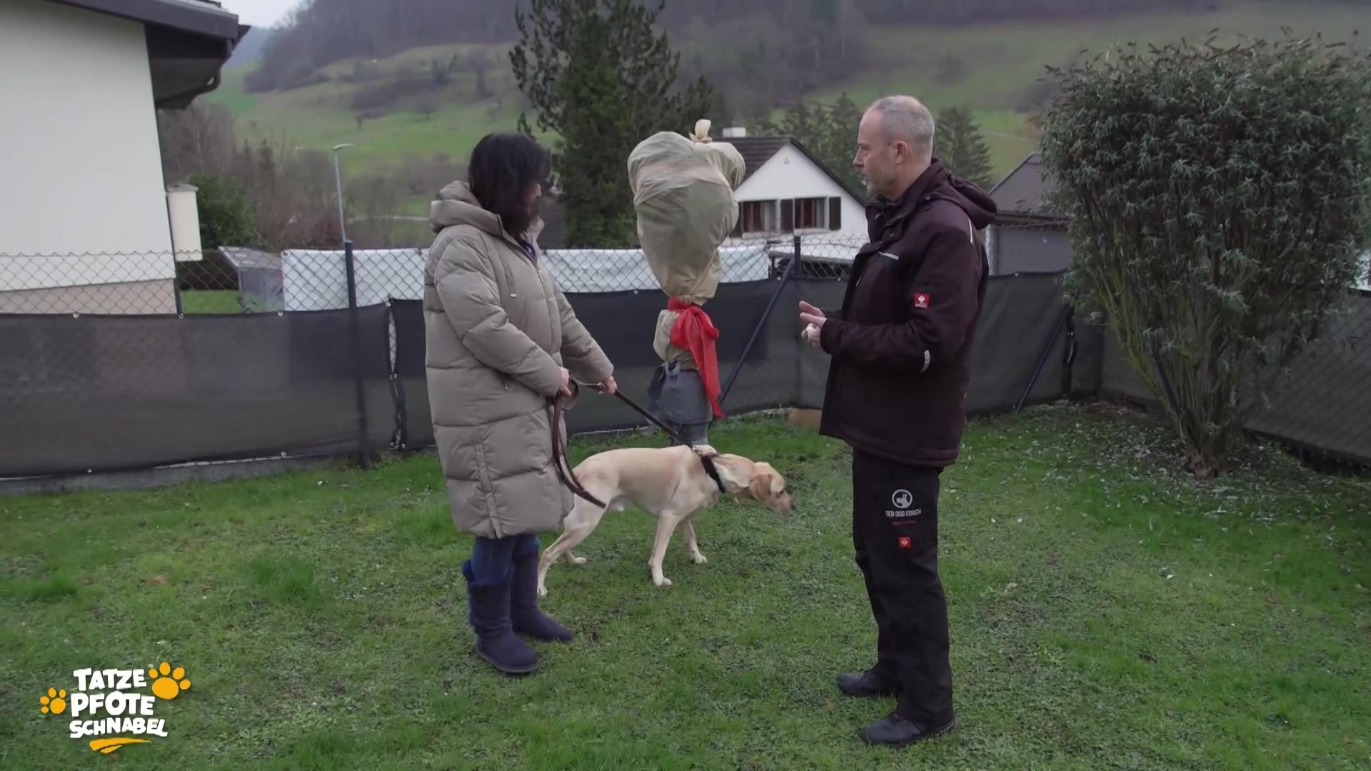 Training mit dem «Dog Coach» - Verhaltensprobleme gezielt angehen