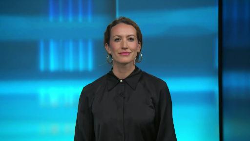 punkt6