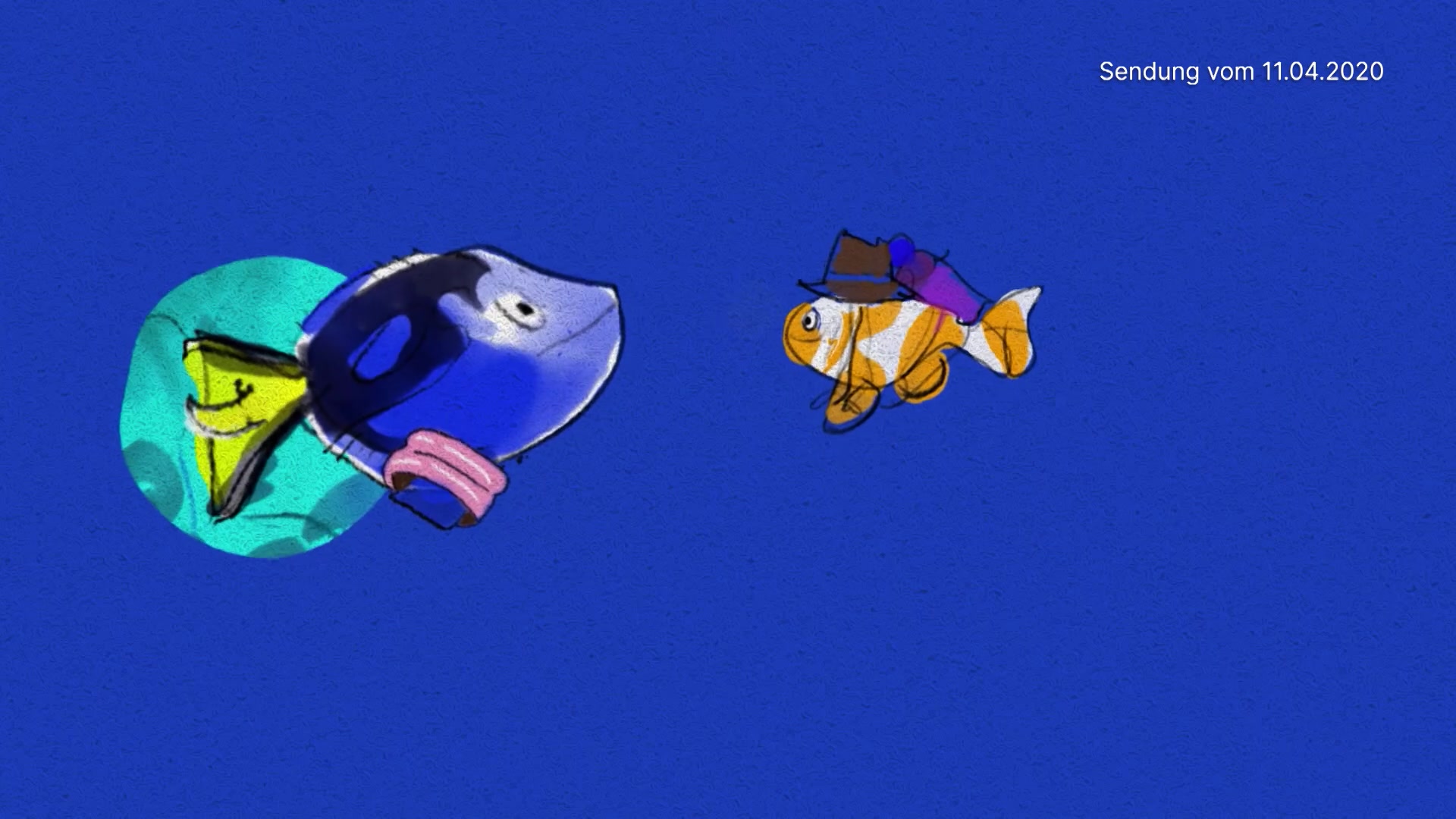 Der Doktorfisch und Anemonenfisch