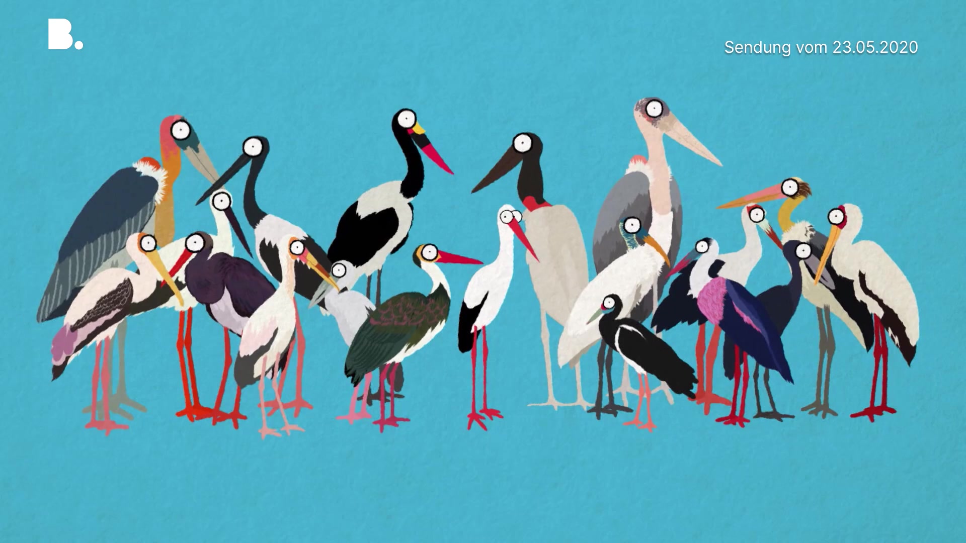 Der Storch