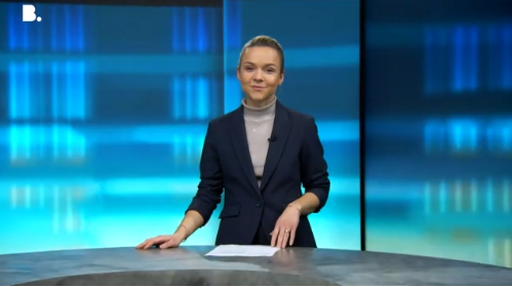 punkt6