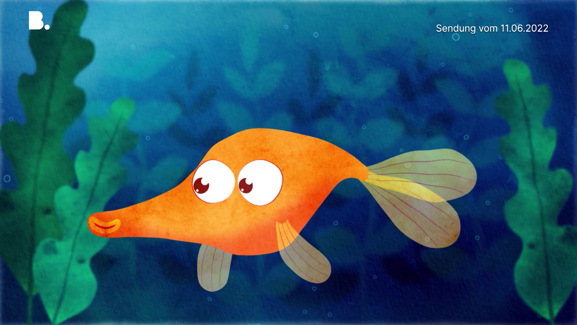 Der Stülpmaul-Lippfisch
