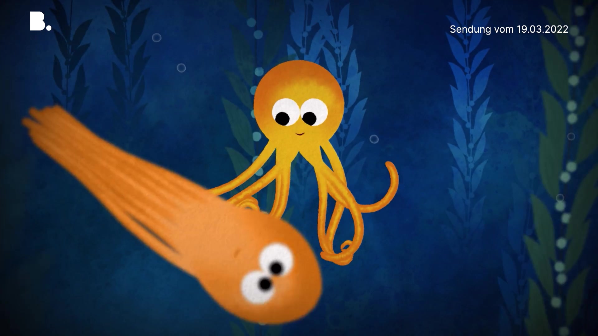 Der Octopus Zoo Kidz Telebasel der-octopus-zoo-kidz-telebasel