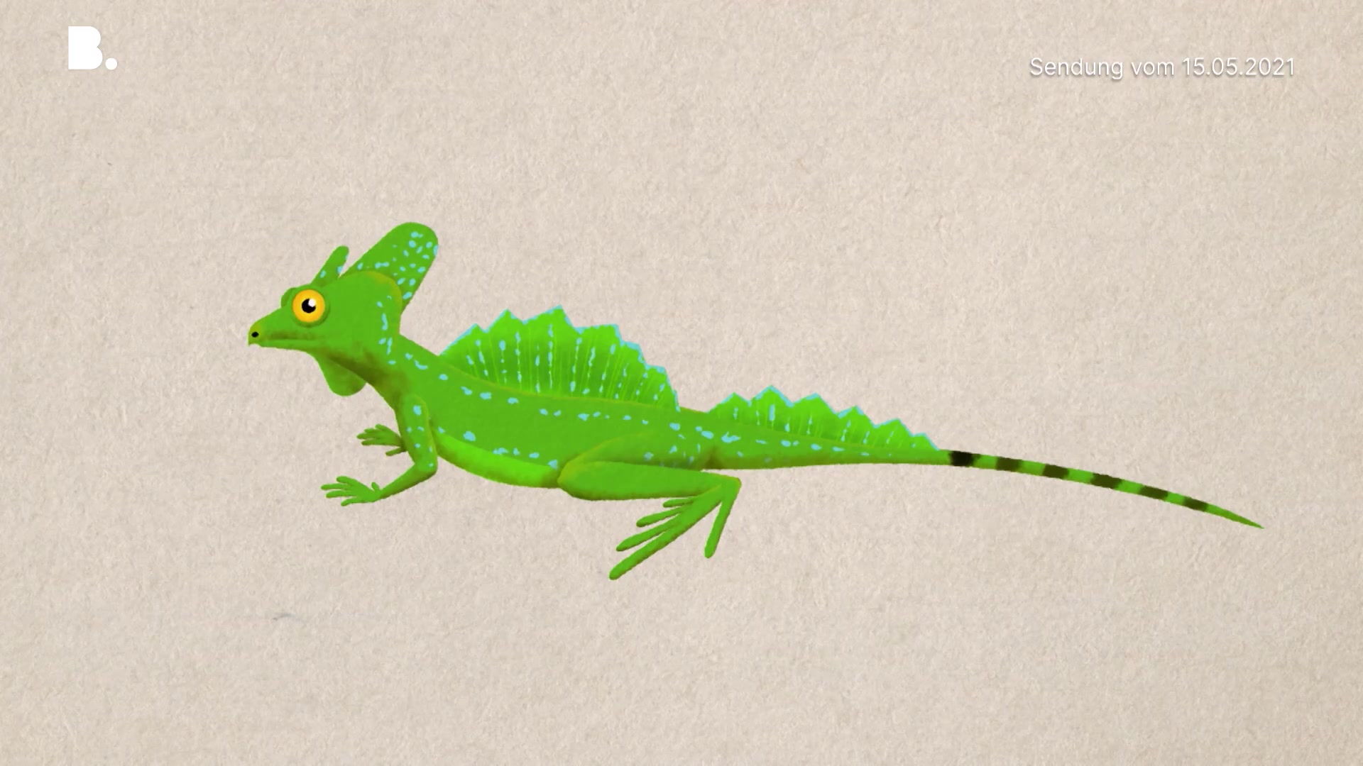 Der Stirnlappenbasilisk