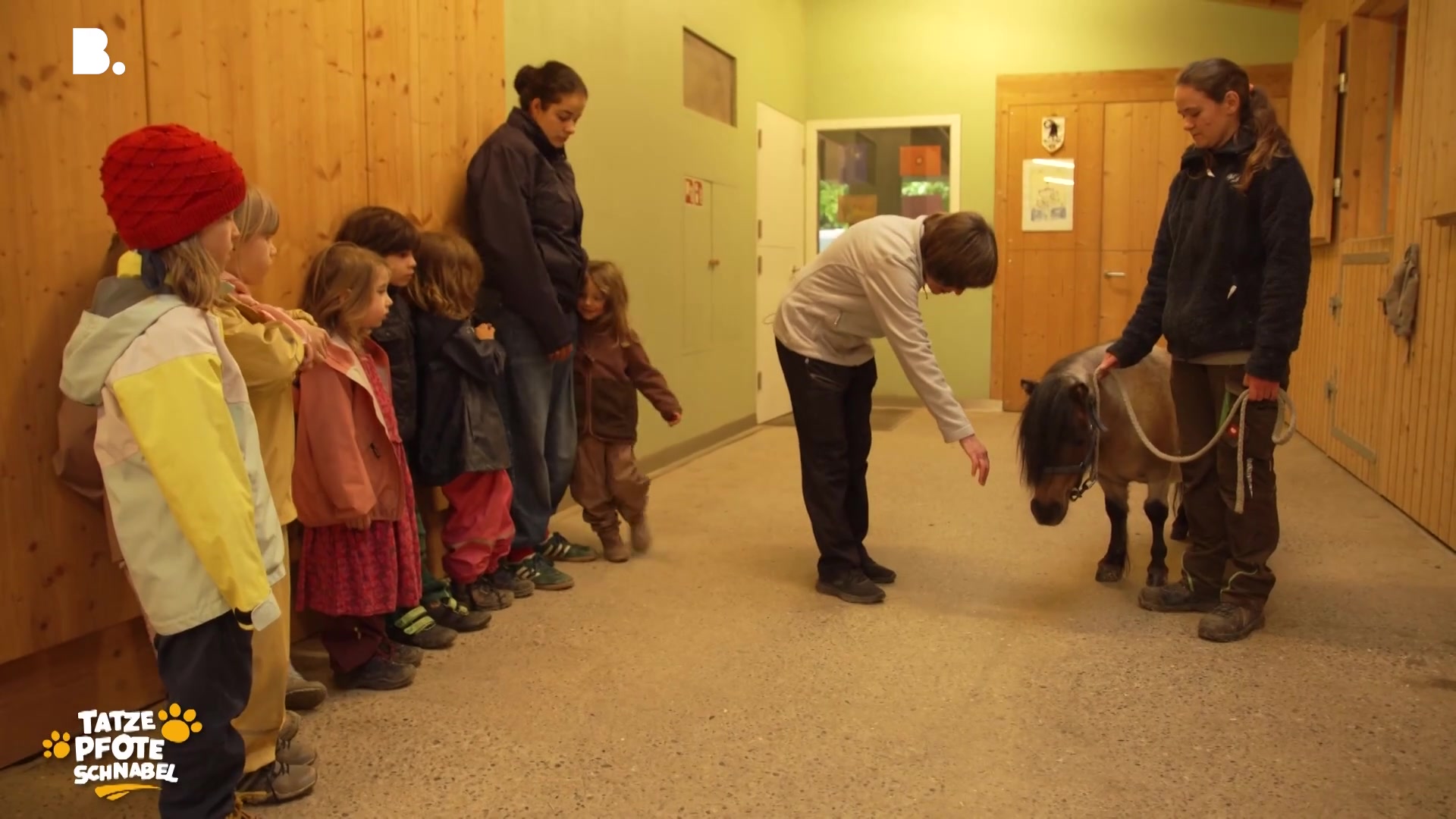 Die Ethikschule der Stiftung Mensch und Tier