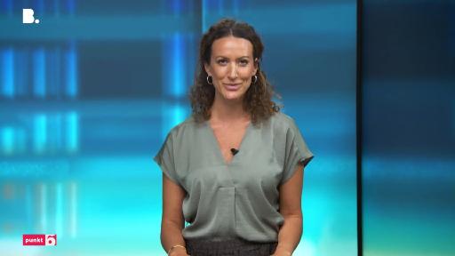punkt6
