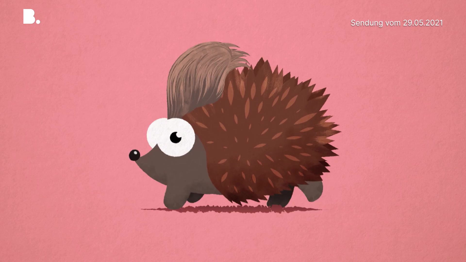 Das Stachelschwein 