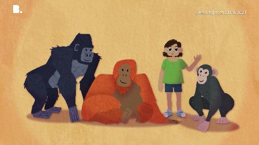 Zoo Kidz