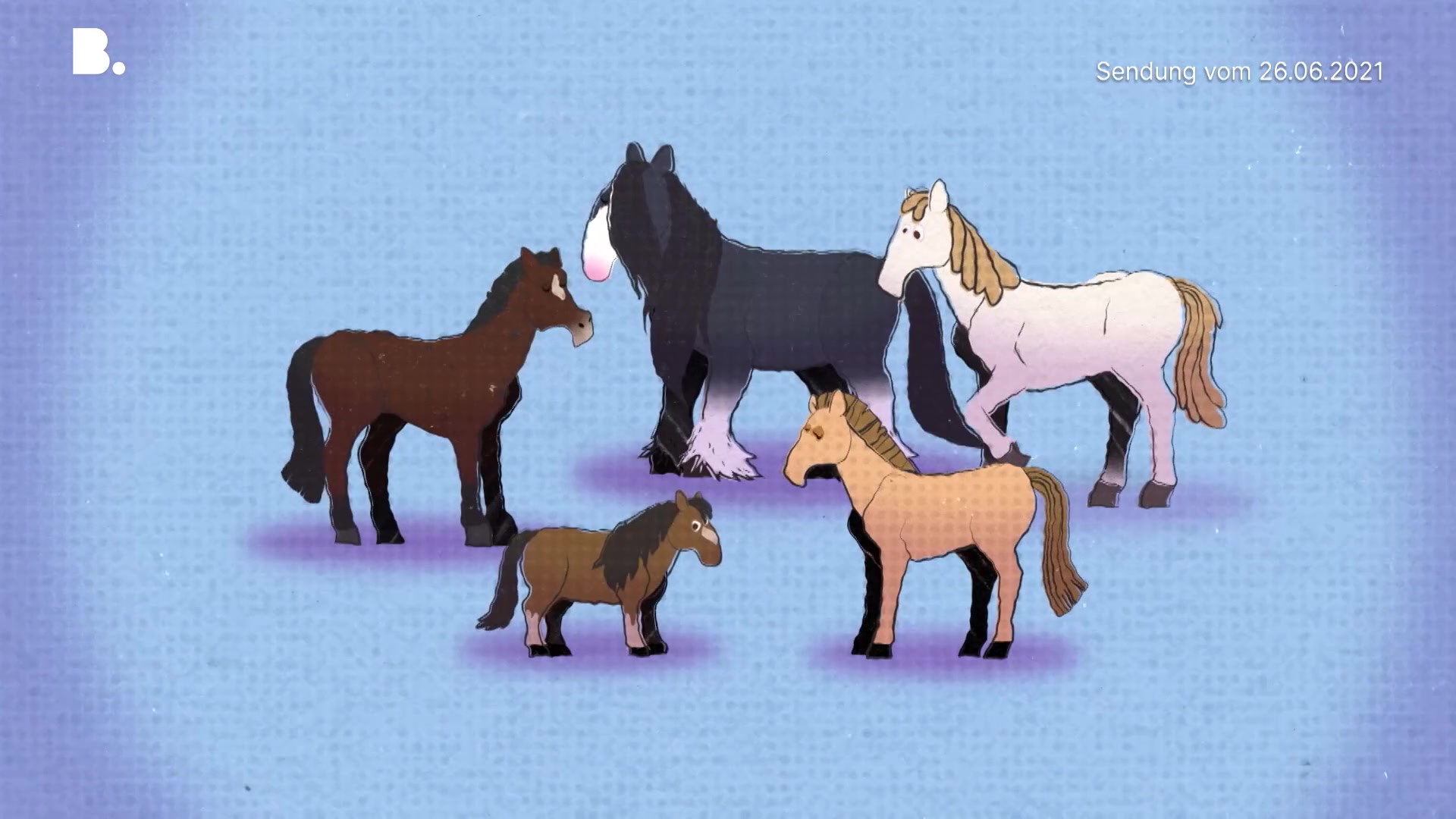 Das Pferd und das Pony