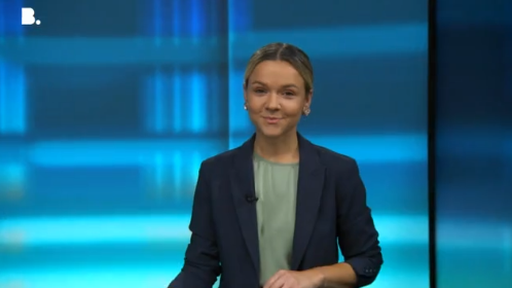 punkt6