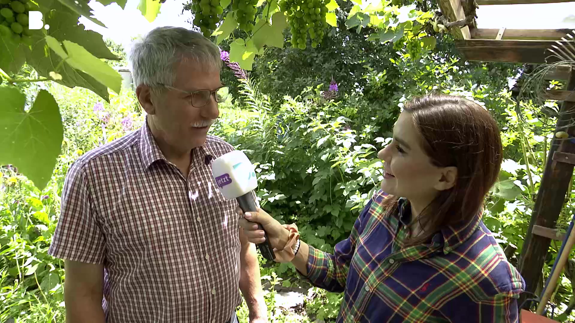 Im Reich der Bienen – Mit dem Bienenzüchter Verein Basel