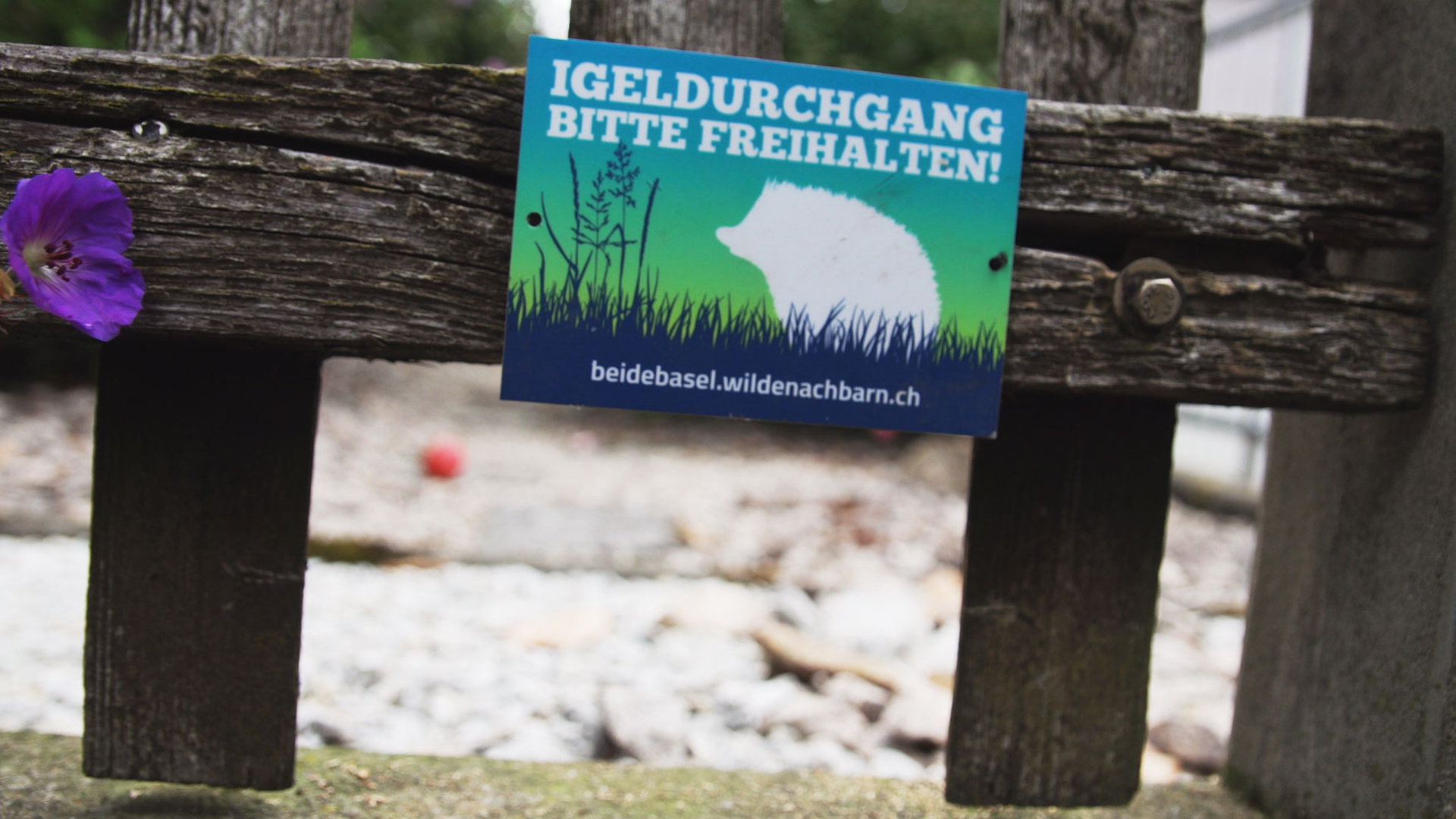Freie Bahn für Igel und Co.
