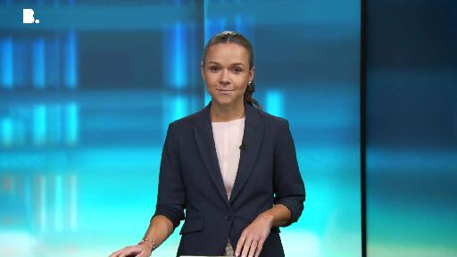 punkt6