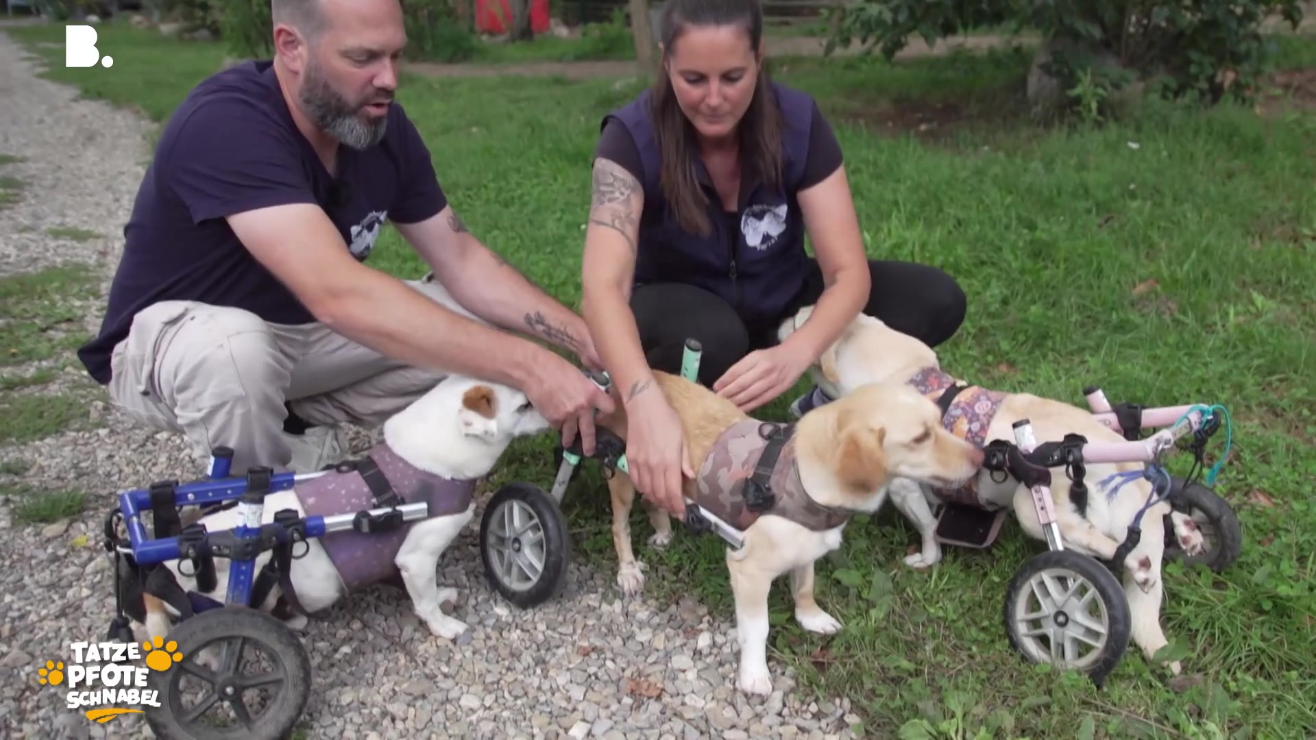 Ein Zuhause für Tiere mit Handicap