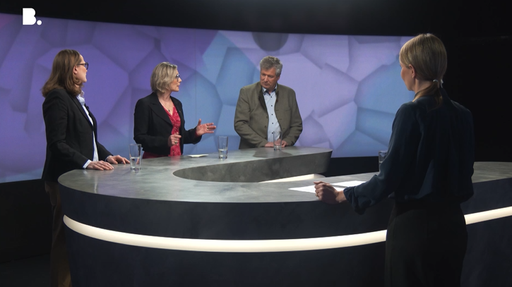 SRG, Individualbesteuerung, BL-Vorlagen