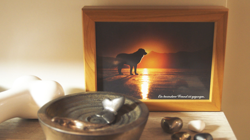 Tatze, Pfote, Schnabel