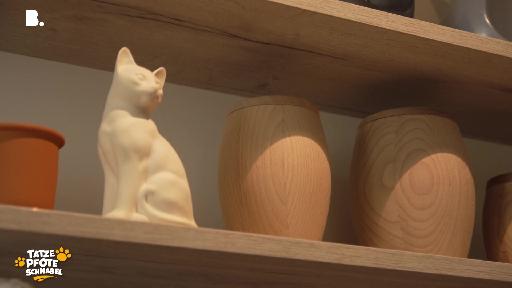 Tatze, Pfote, Schnabel