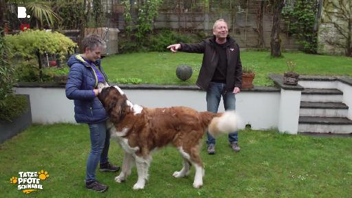 Robi Schärz und sein Hund Dasty