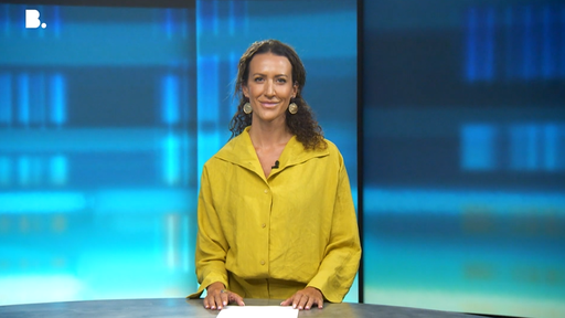 punkt6