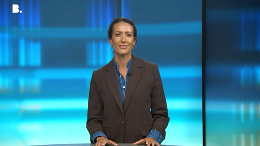 punkt6