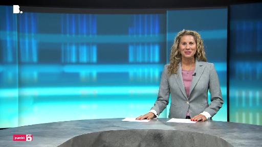 punkt6