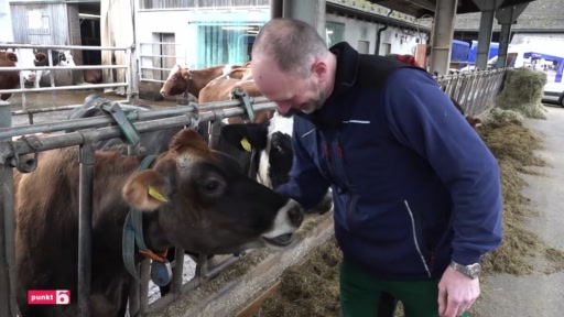Bauern kämpfen mit Milchüberschuss