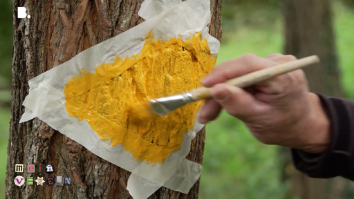So kommen die gelben Rauten auf die Wanderwege der Region