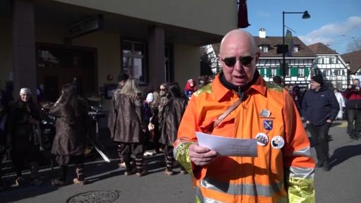 Die Allschwiler Fasnacht und ihr politisches Motto