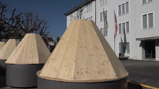 Liestal: Baumschutz sorgt für Diskussionen