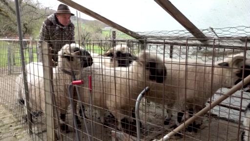 Ein Mini-Alpabzug in Frenkendorf