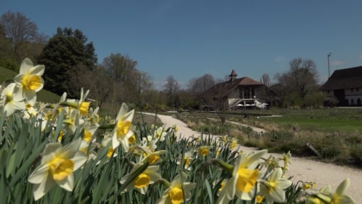 Frühlingsarbeiten in den Merian Gärten