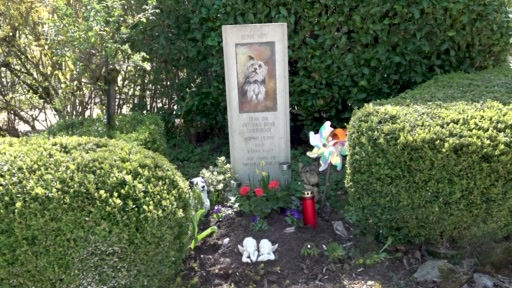 Wie weiter mit dem Tierfriedhof in Läufelfingen?