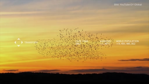 Vier Basler Life-Sciences-Konzerne zeigen Klimaschutzausstellung