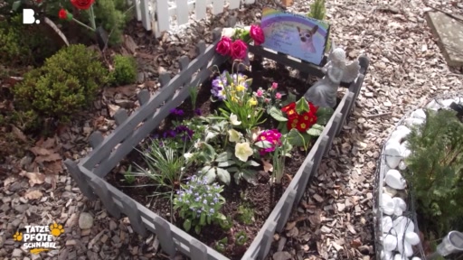 Würdiger Abschied auf dem Tierfriedhof Läufelfingen
