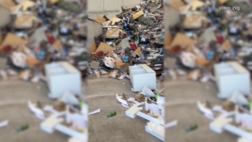 Katzenbabies auf der Mülldeponie: So geht es den Büsis heute