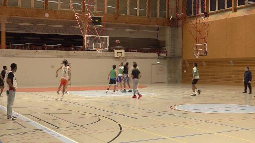 Vor den Playoffs setzen sich die Starwings Basket hohe Ziele