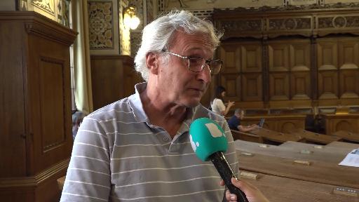 Basel-Stadt wählt den Gegenvorschlag zur Stadttauben-Initiative