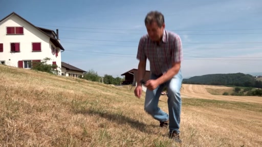 Futterknappheit bei Baselbieter Bauern