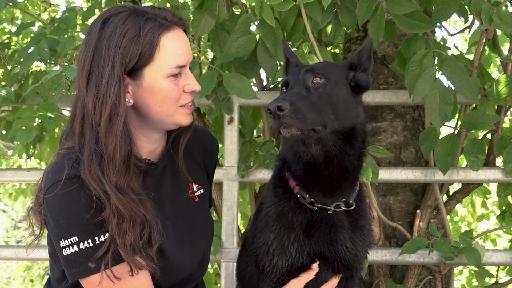 Baselbieterin half mit ihrem Hund in Venezuela