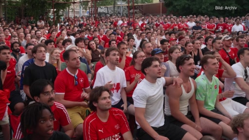 Public Viewing Fazit