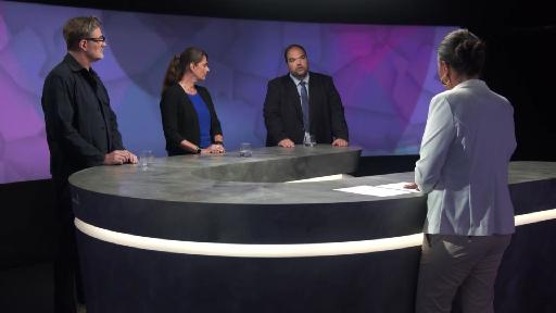 Diskussion im Sonntagstalk über die unbewilligte Demo