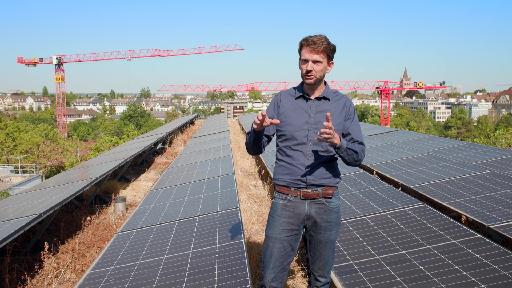 So wird der Solarstrom mit den Nachbarn geteilt